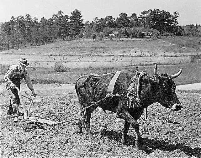 FCB4 Put your hand to the plow...