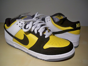 nike sb bic