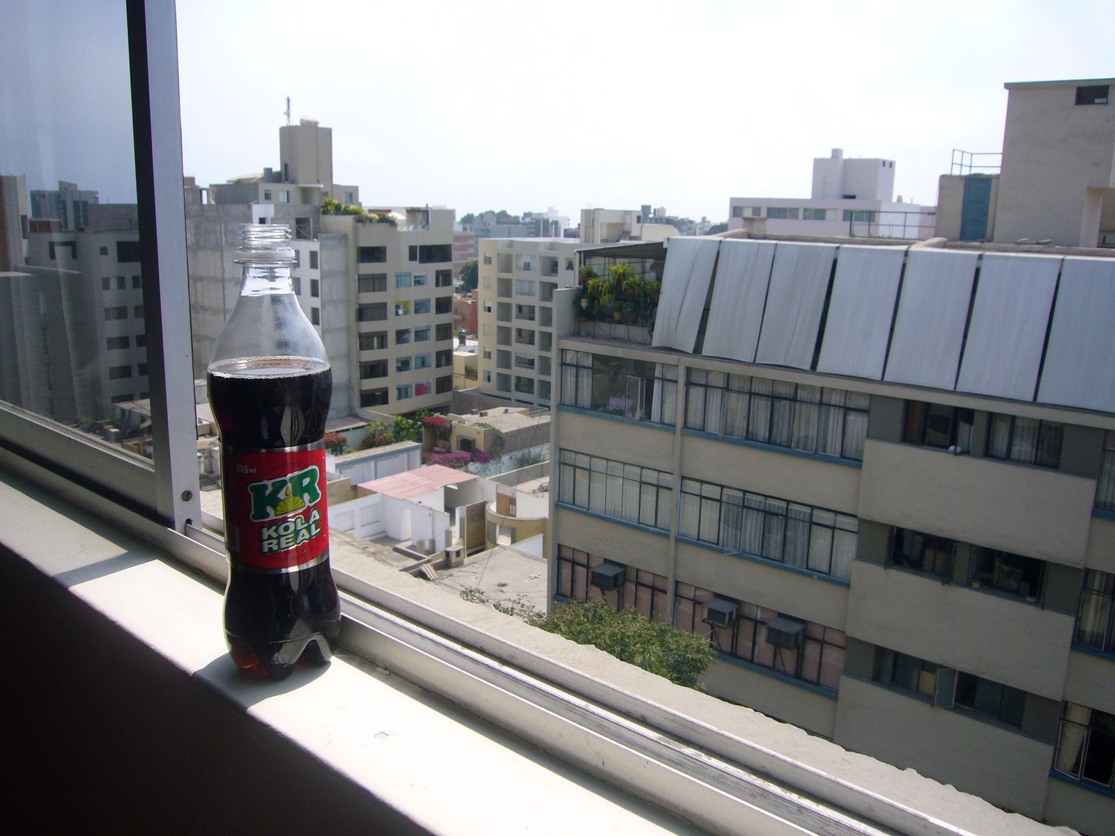 [P1000849.JPG]