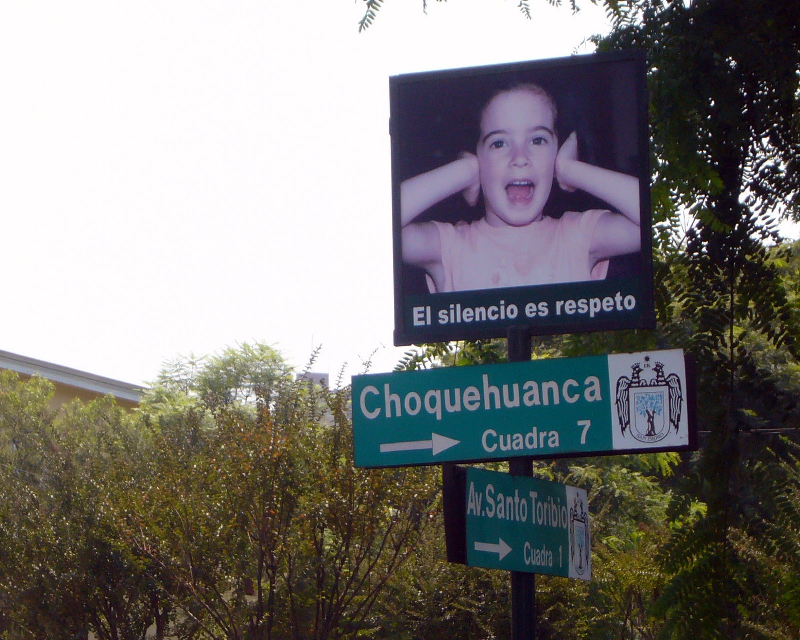 [P1000993.JPG]