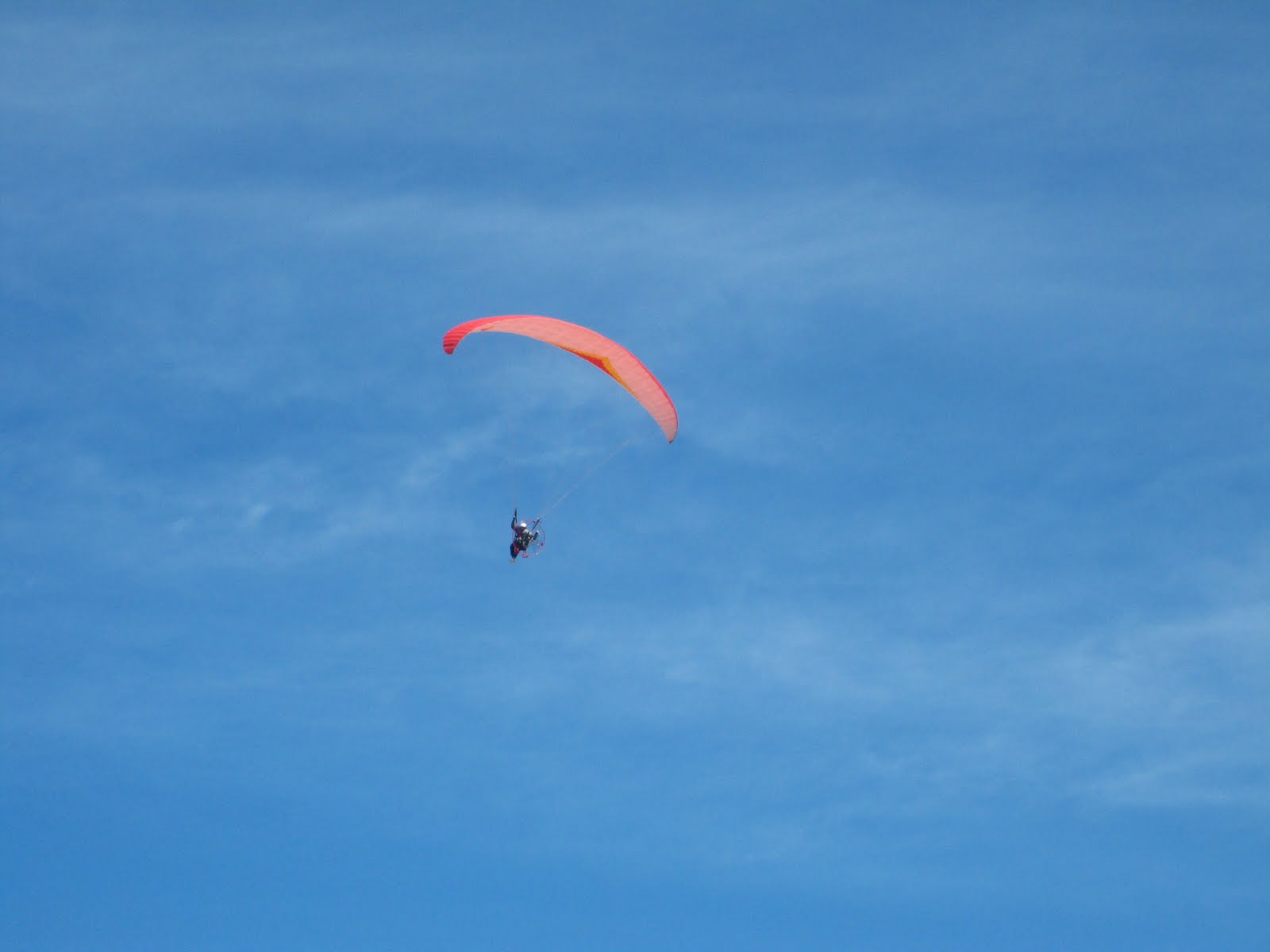 [IMG_9559.JPG]