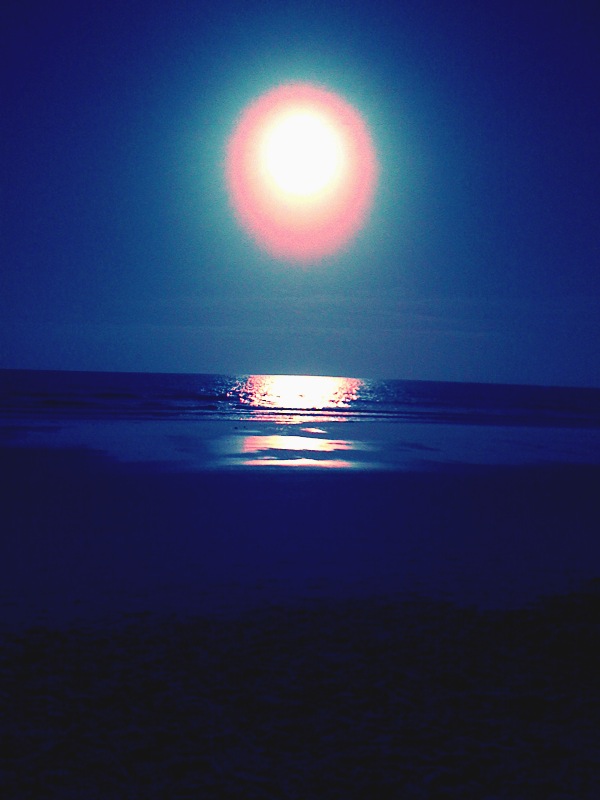 [IMG_4379.JPG]