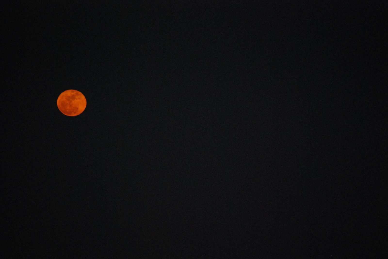 [DSC_0018.JPG]