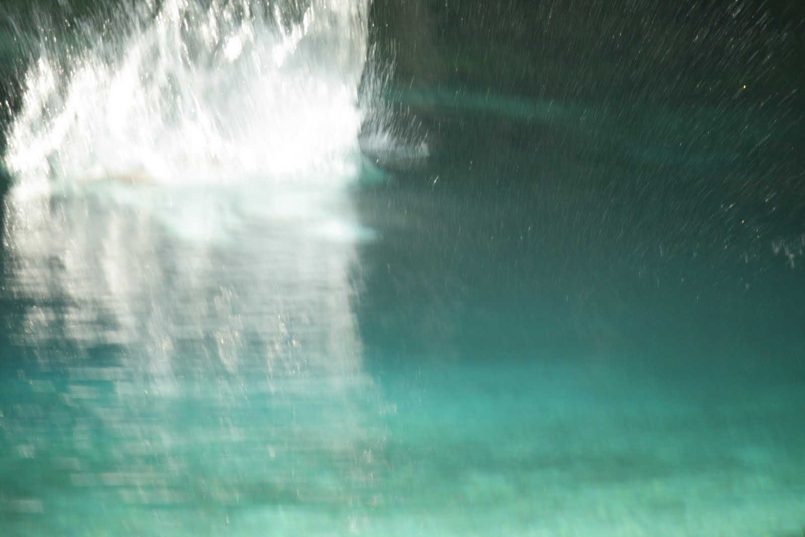 [IMG_6682.JPG]