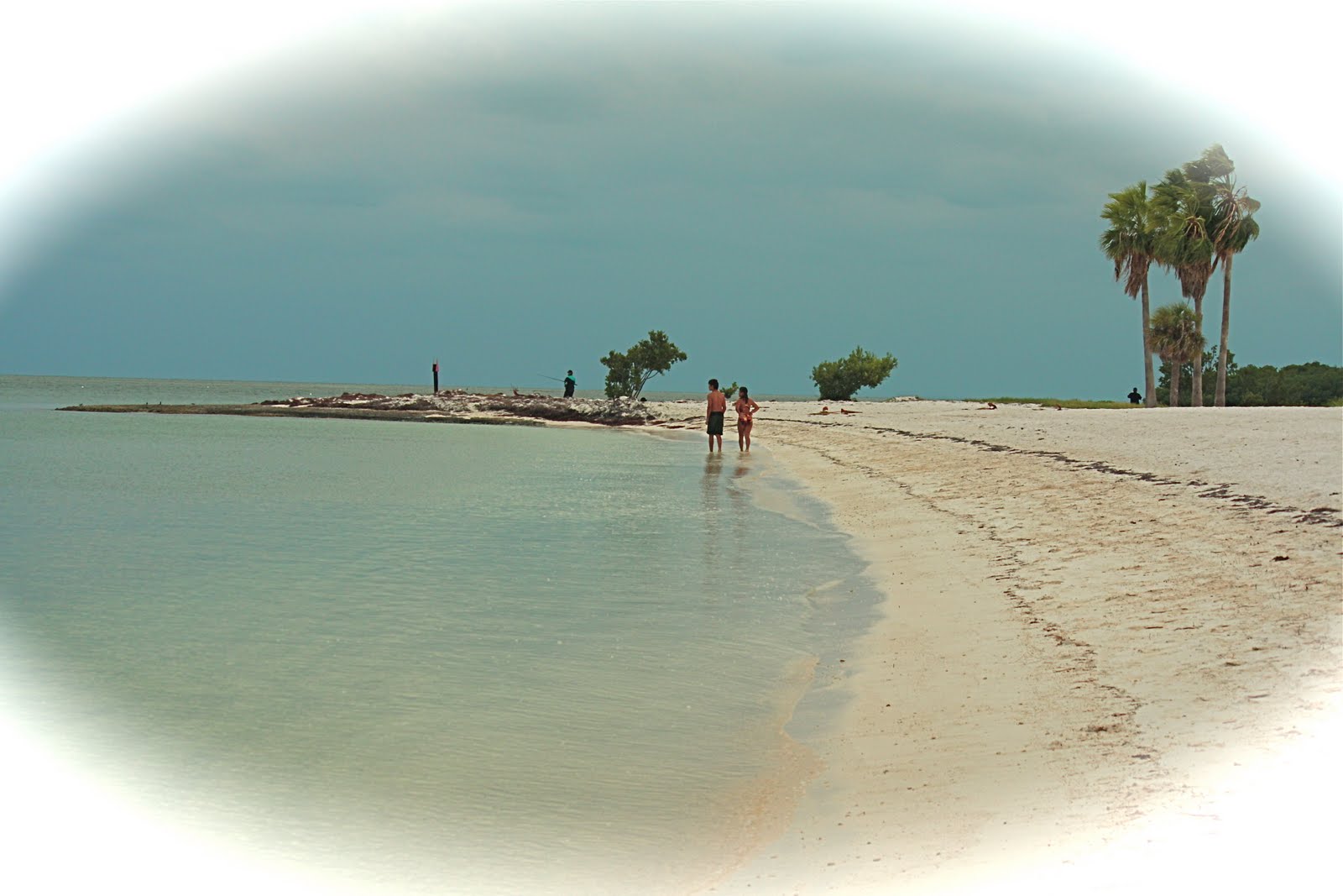 [IMG_7992.JPG]
