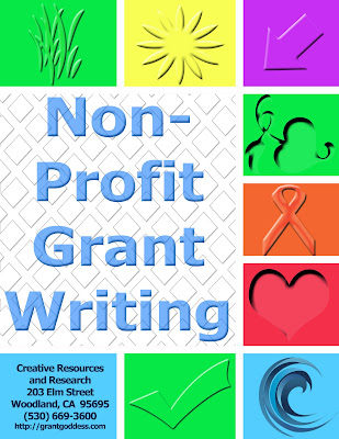 non profit grant non profit grant
