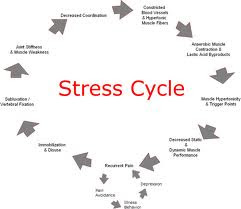 Stess Management-Cycle