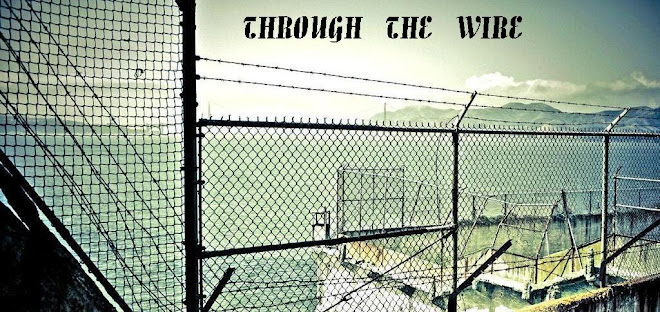THROUGH THE WIRE
