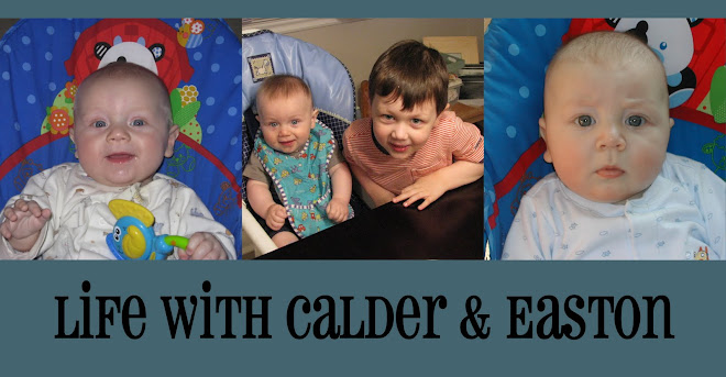 Life with Calder and Easton