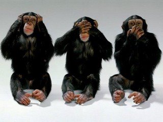 [Macacos.bmp]
