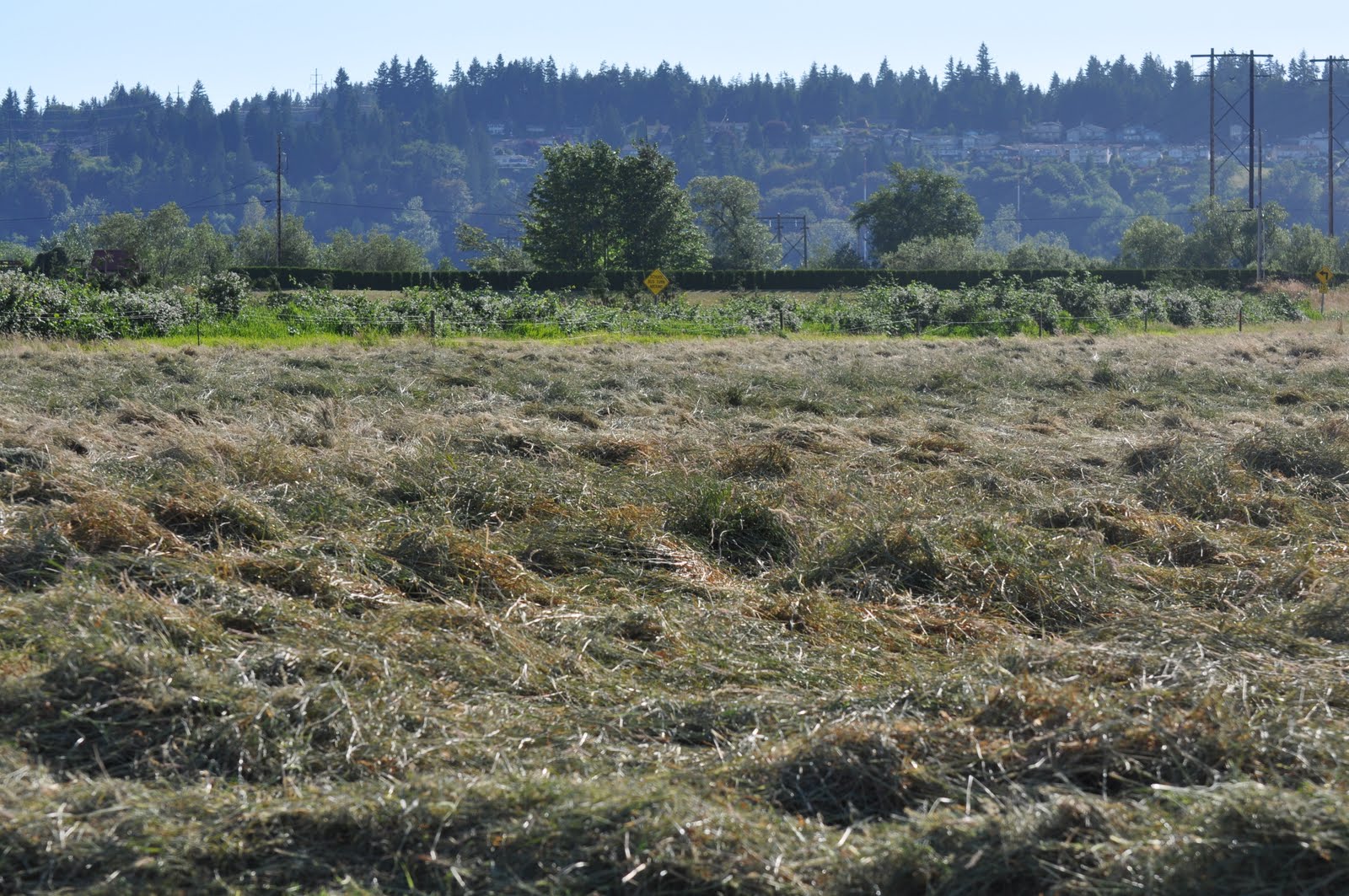 What is a Hay Bale and What is it Made From?