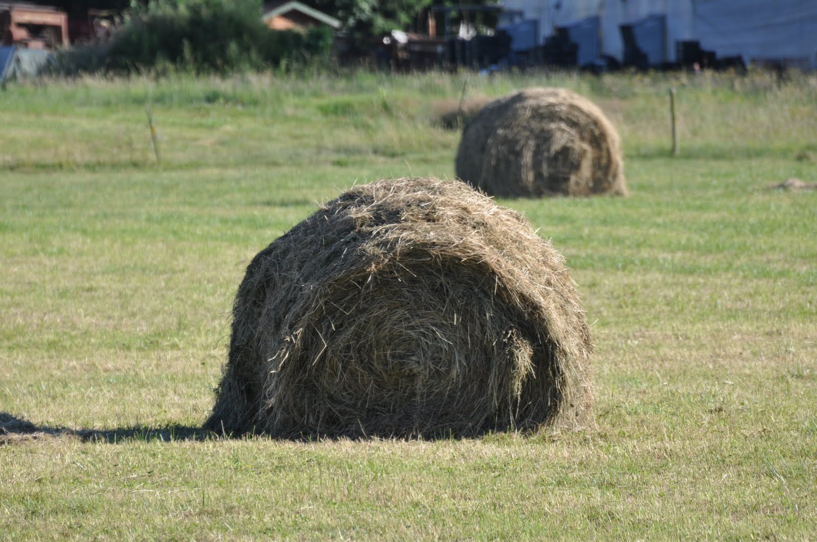 meat How hay bales are made