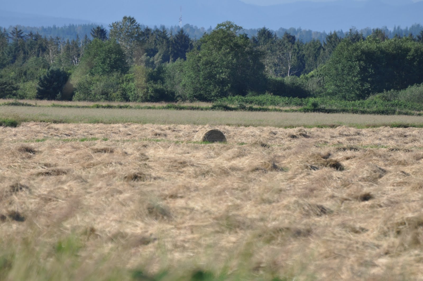 meat How hay bales are made