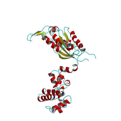 [Computer+Re-Wiring.gif]