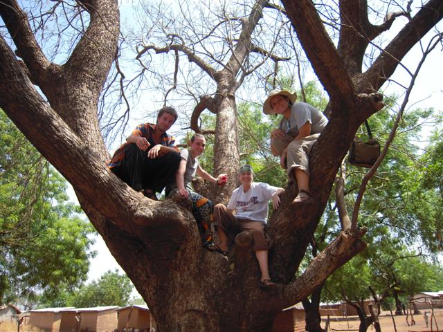 Hanging Out in a Tree