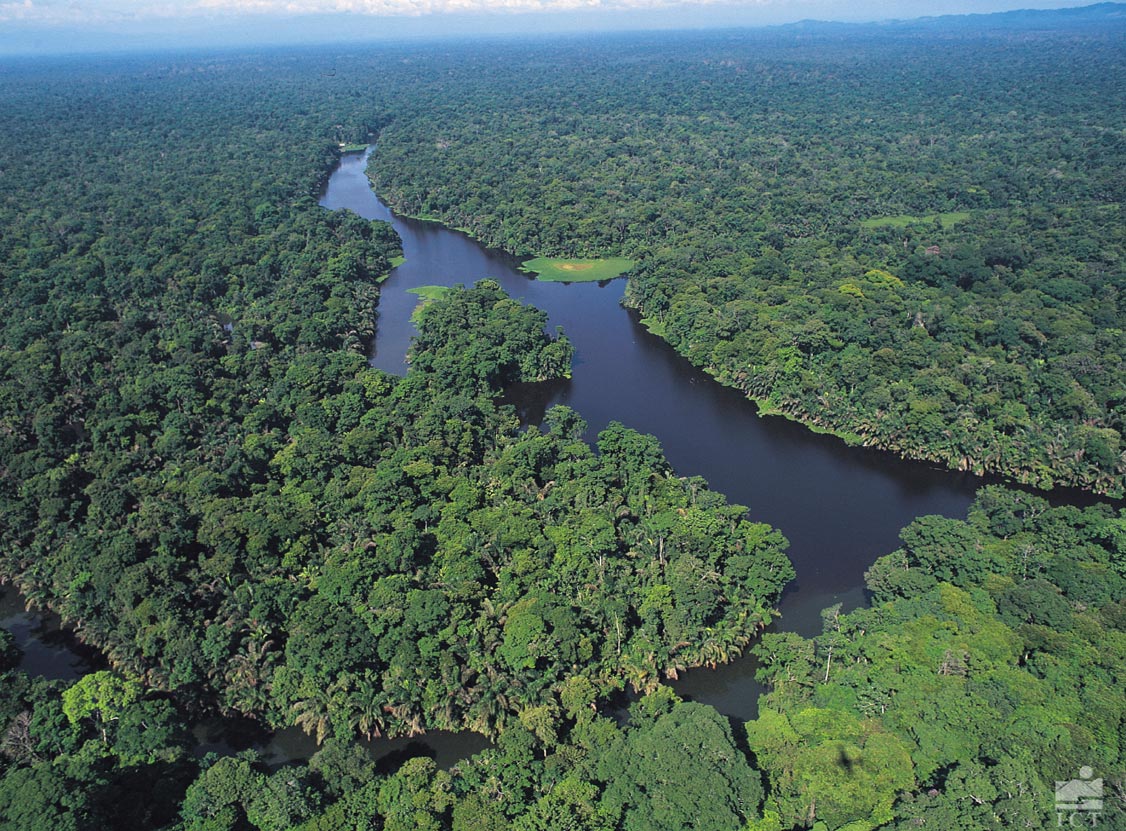 selva+virgen (image)