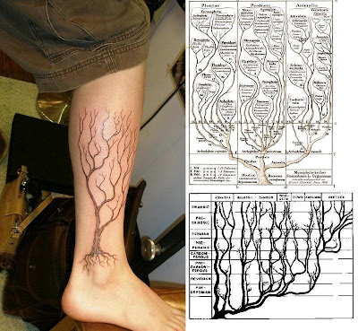 And another Tree of Life, based on the drawing by Ernst Haeckel.