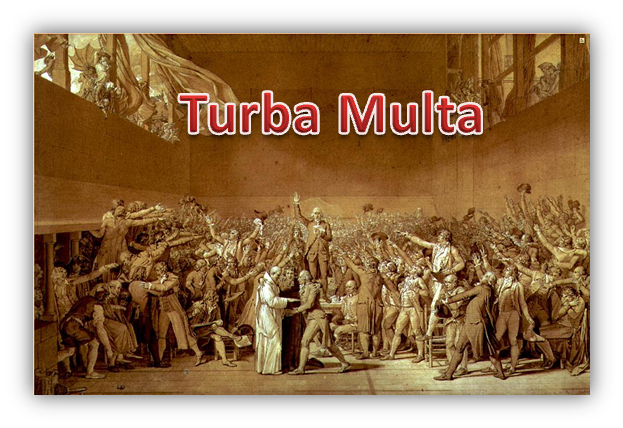 Turba Multa