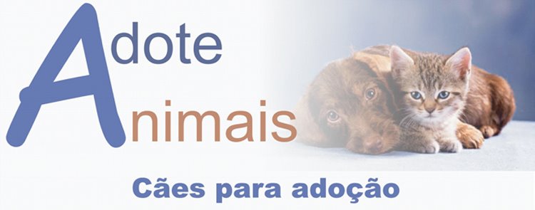 Cães para adoção