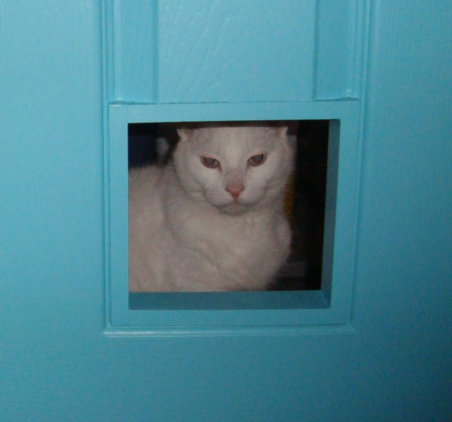 follow your heart woodworking Cat door