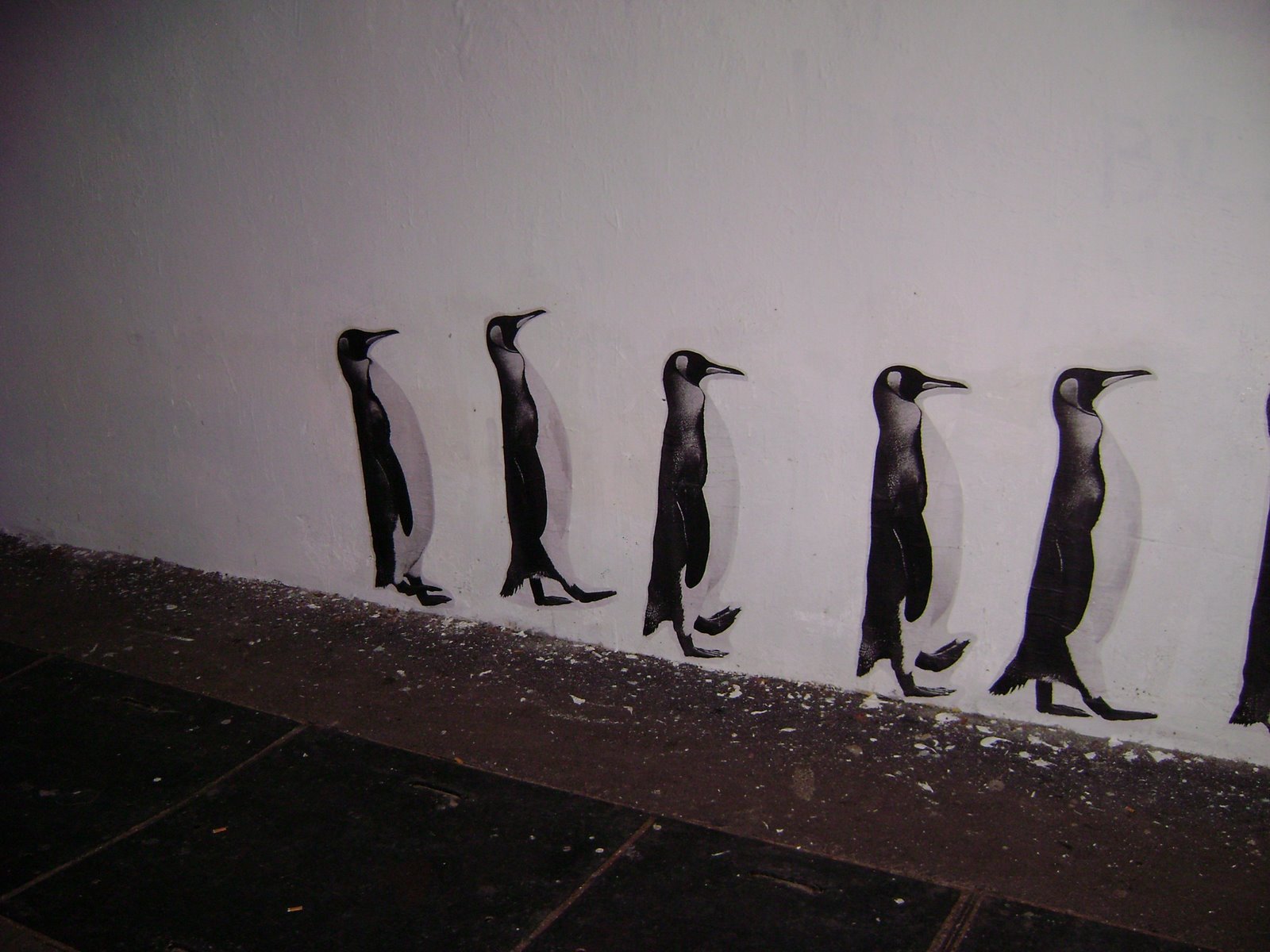 [penguin1.JPG]