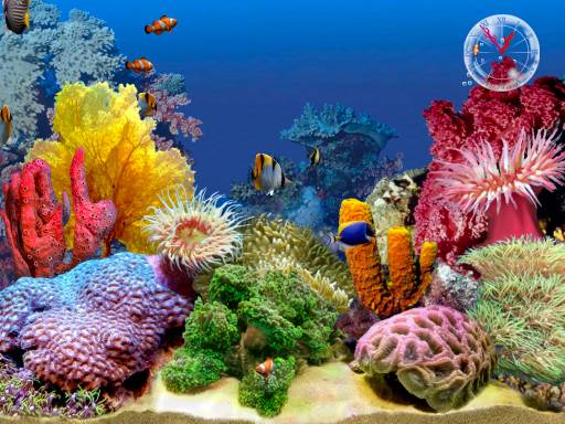[3D_Tropical_Fish_Aquarium_Scene_2_1.jpg]