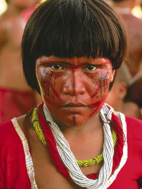 Indios Brasileiros
