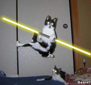 Cat Lightsaber