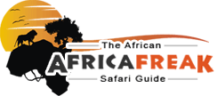African Safari Guide