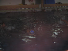 TIBURONES EN ACCIOOONNN