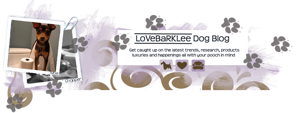LoveBarklee Dog Blog