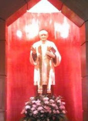 St. Arnold Janssen