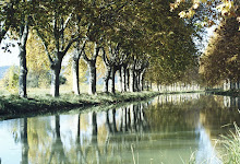 Summer on the Canal