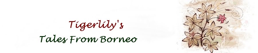 Tigerlily's Tales From Borneo