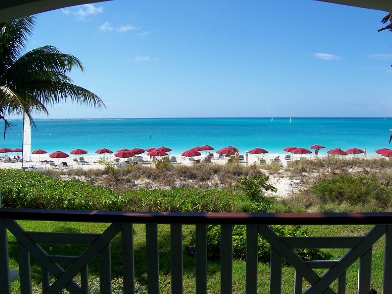 [view+from+room.bmp]