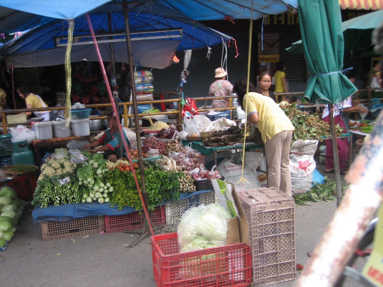 [tailandia+08+397.jpg]