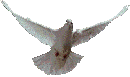 Resultado de imagen de gifs animados palomas blancas