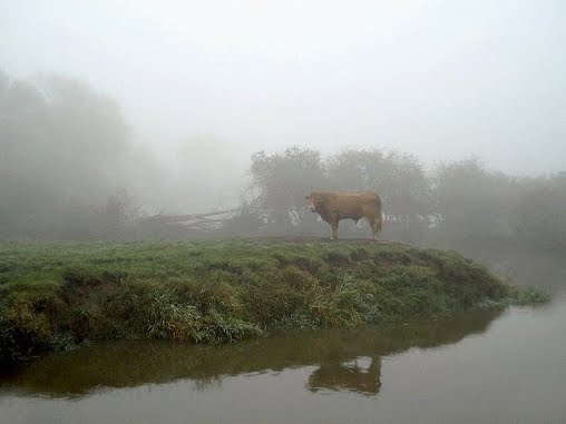 [Paisagem_Brumas_05_e.gif]