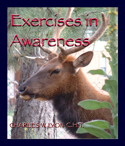 Exercises In Awareness