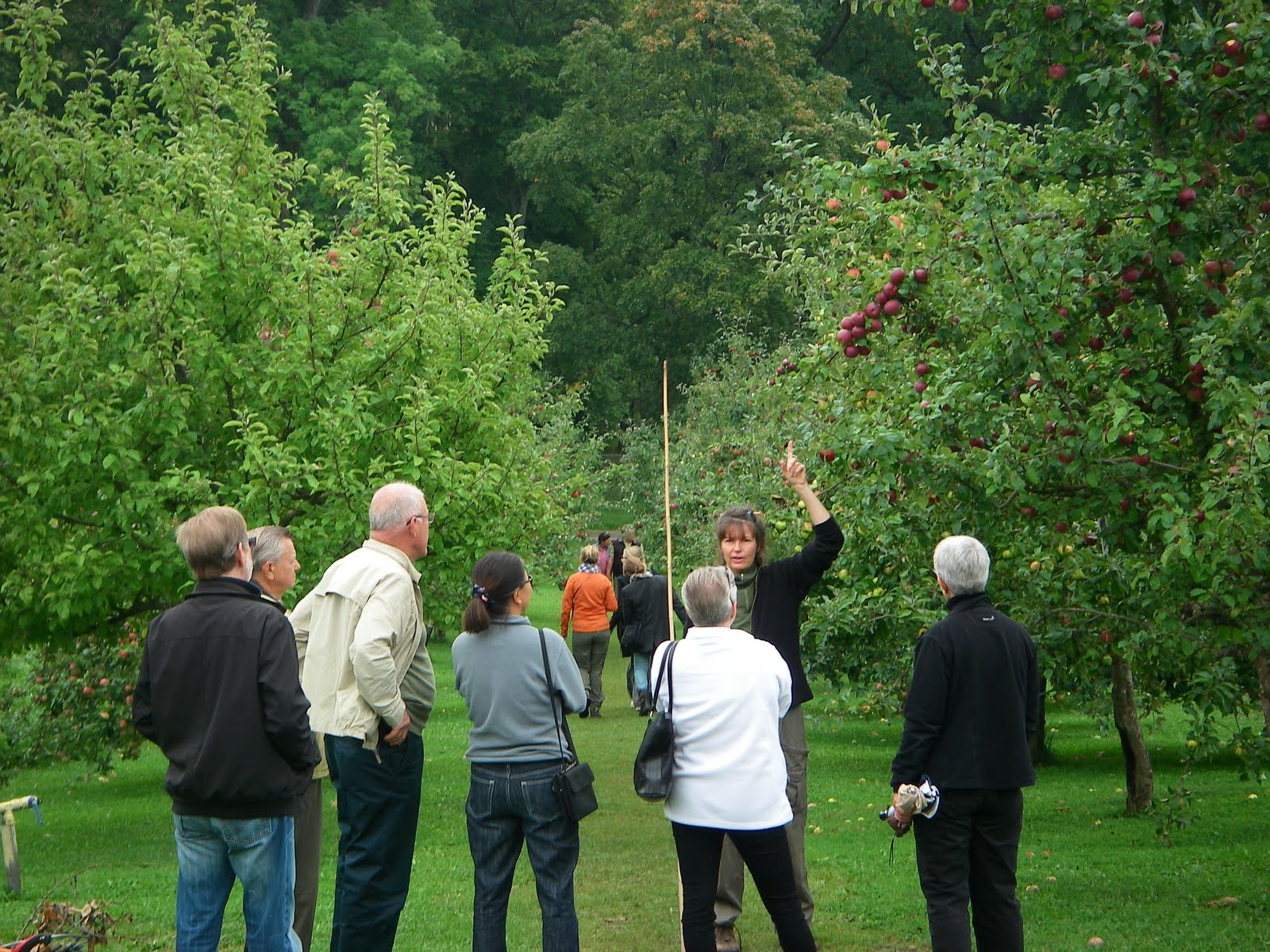 Slottsträdgården ulriksdal: september 2010
