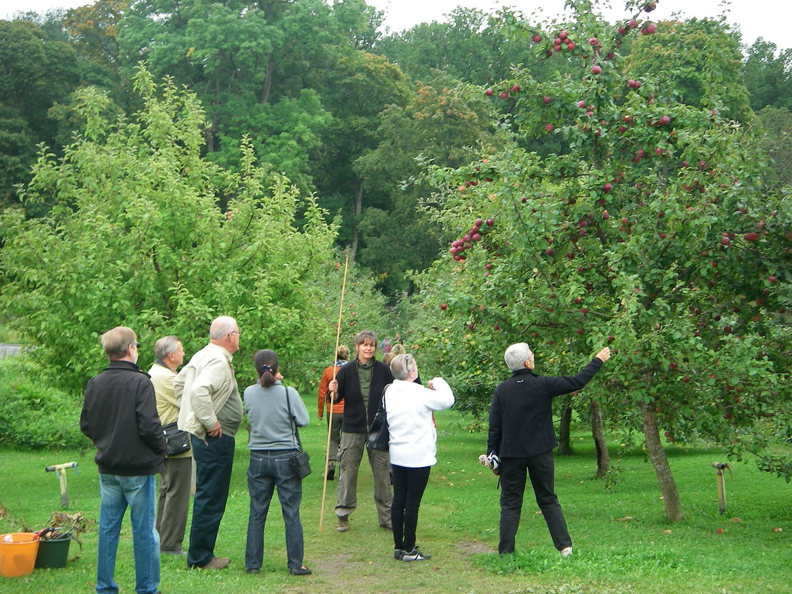 Slottsträdgården ulriksdal: september 2010
