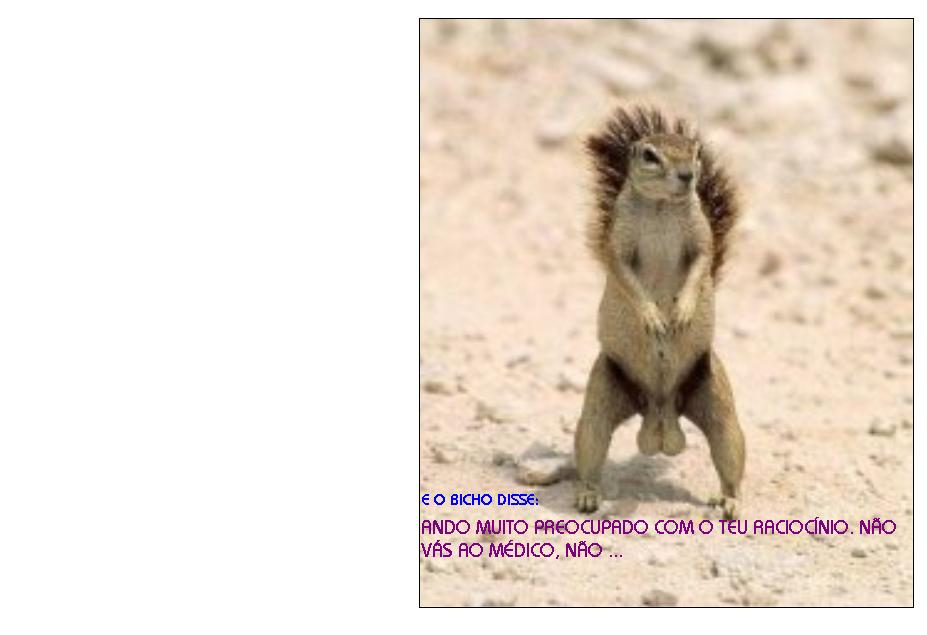 [z.BICHINHO+com+grandes+tomates+-+ponto+Grande.JPG]
