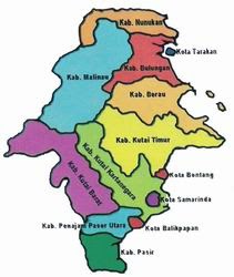 mouseLittLe kalimantan timur