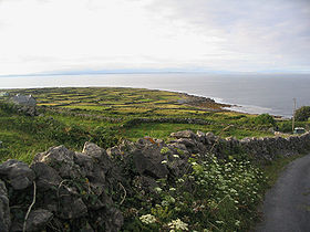 [Aran_Islands_Inishmore_Ireland.jpg]