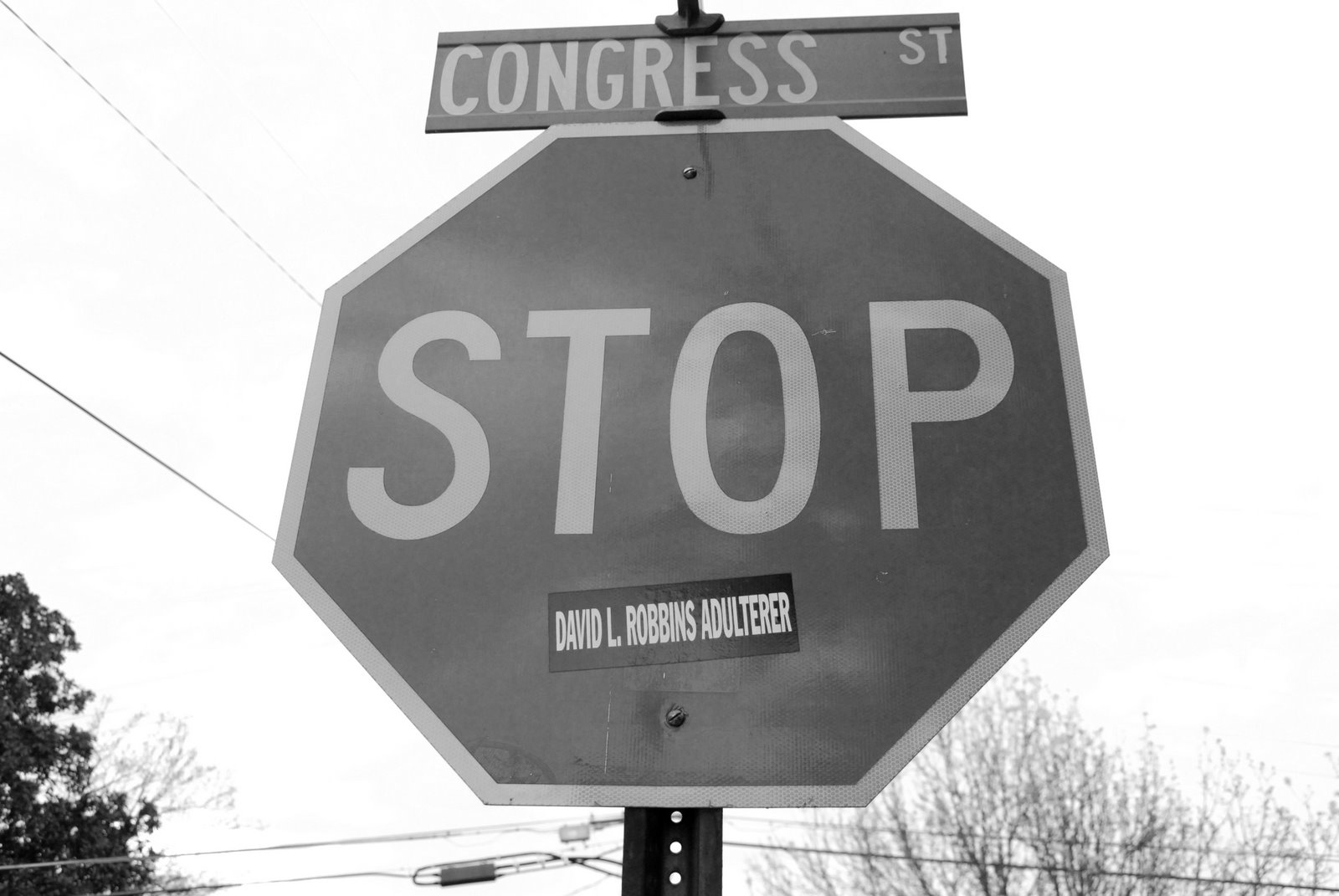 [DSC_3588bw.jpg]