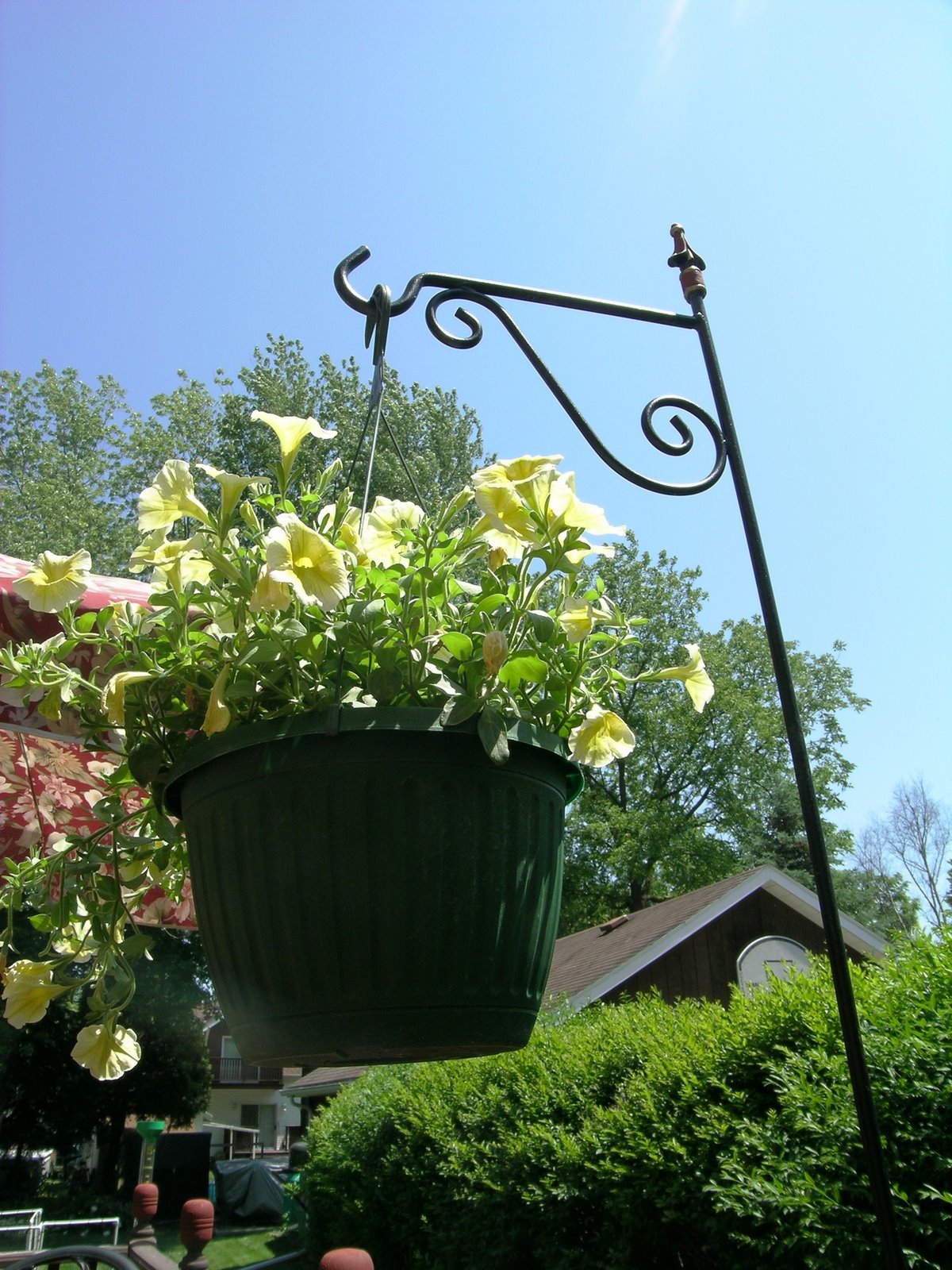 [pack+basket+small.JPG]