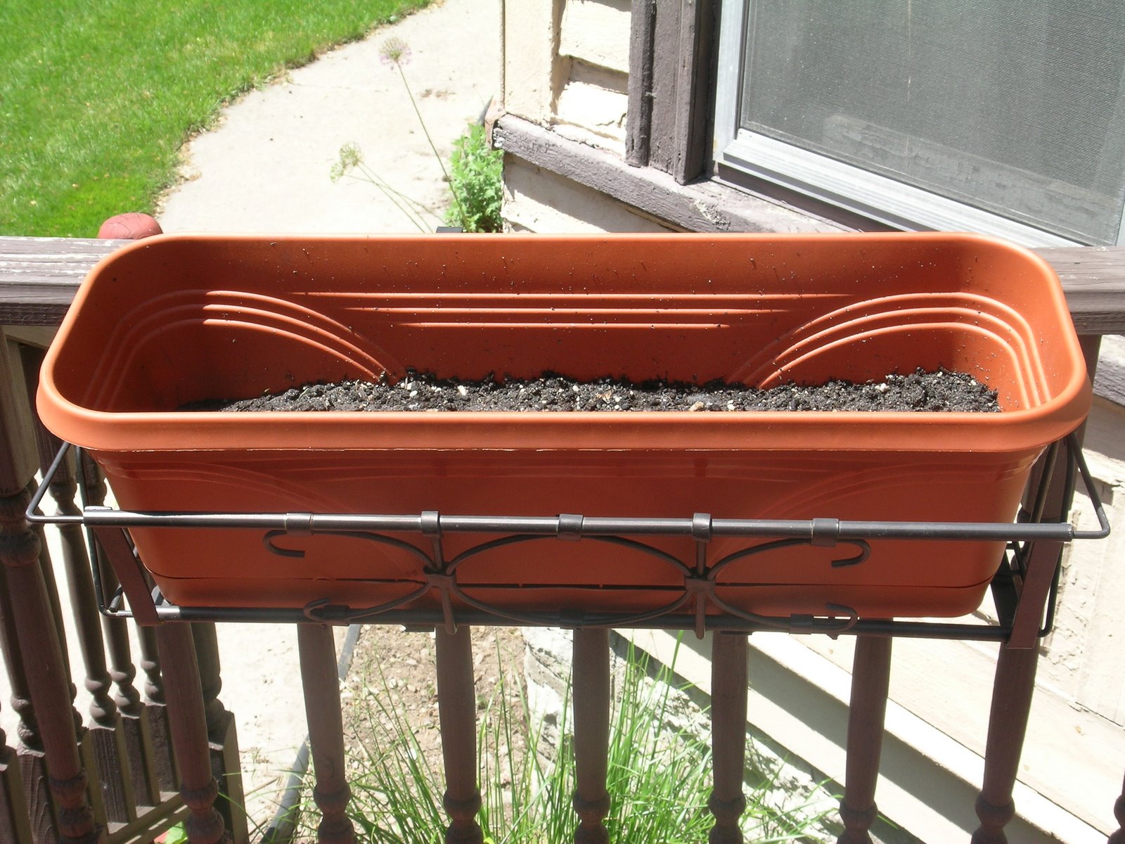 [potential+herbs+straight+on.JPG]