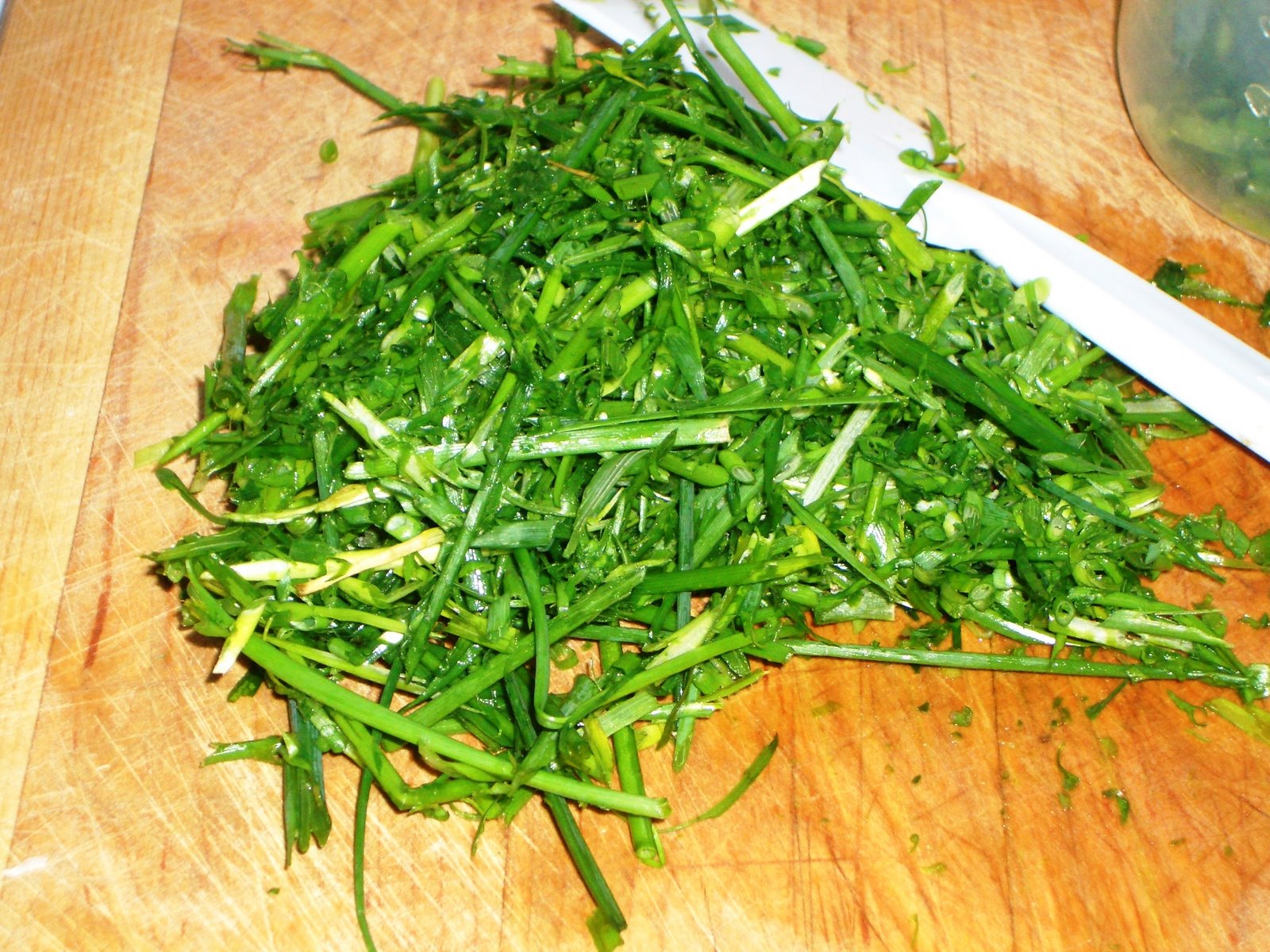 [chives+mess+closeup.JPG]