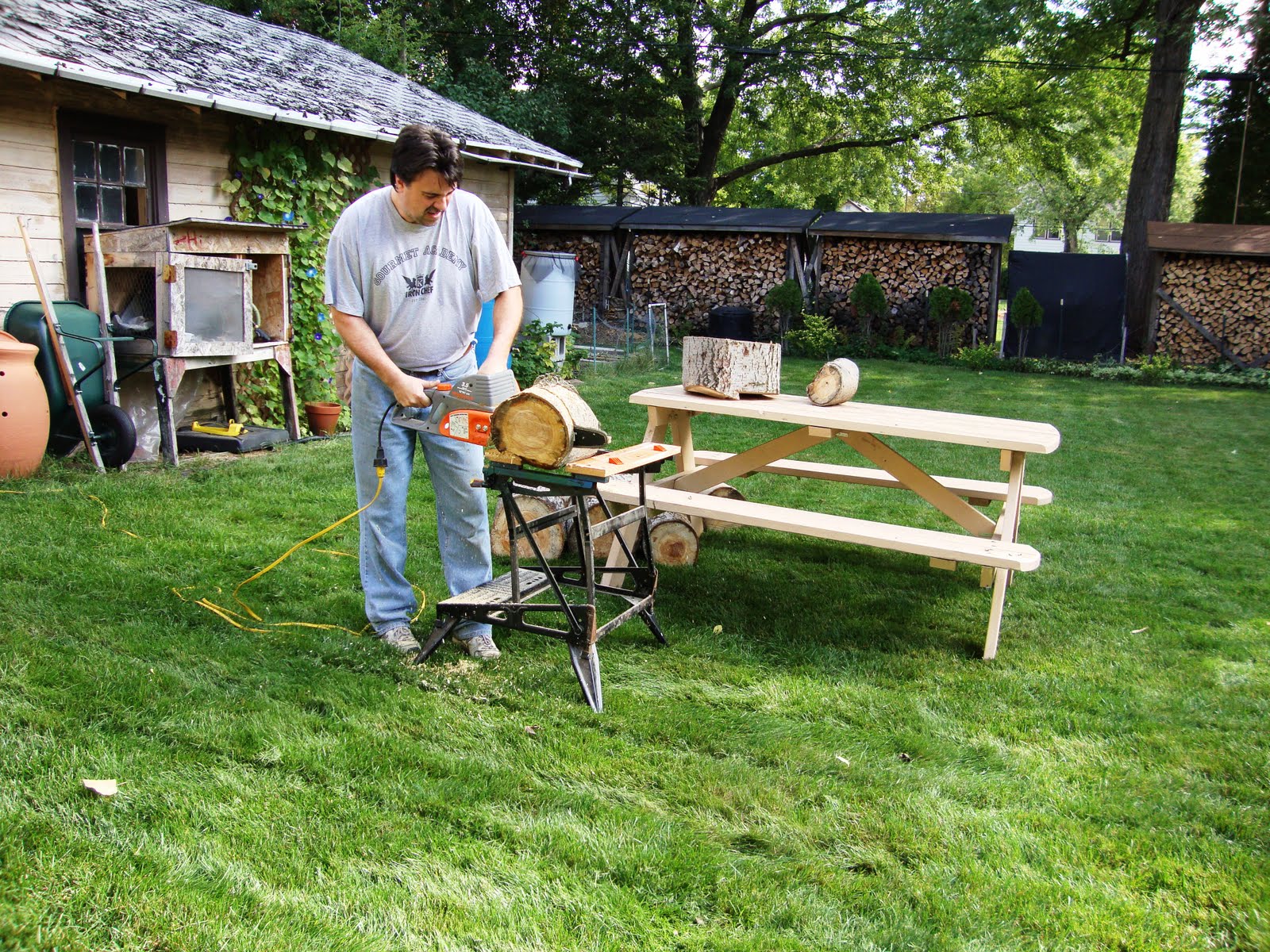 [cottonwood+poplar+prep.JPG]