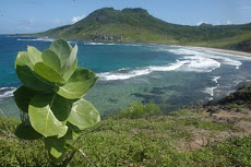 Praia da Caieira